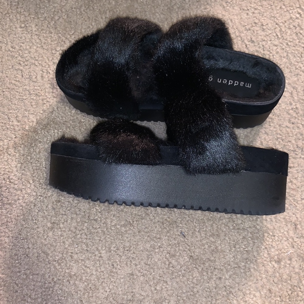 Furbee Slides - Picture 4 of 5